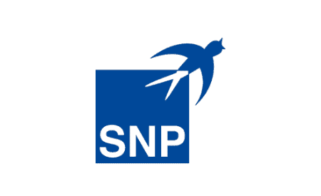 SNP Group: Komplexe digitale Transformation einfach gemacht